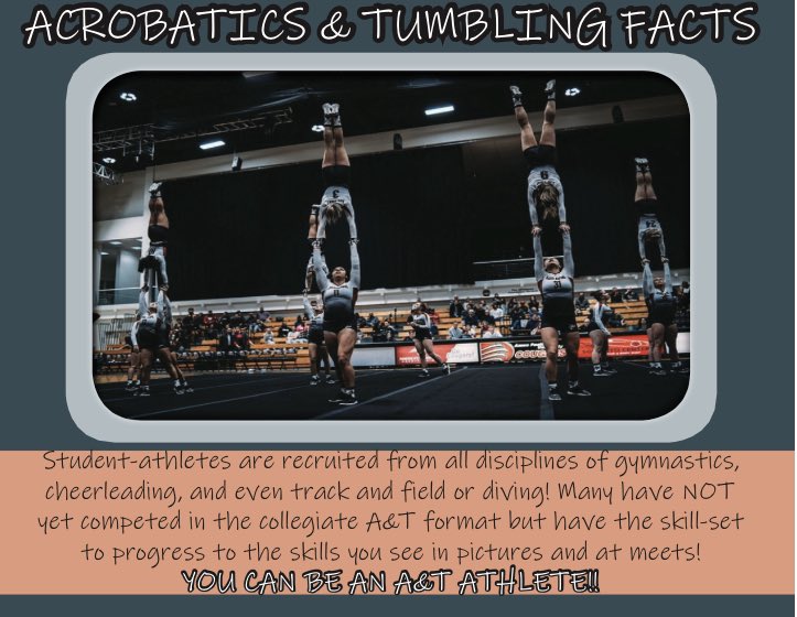 You HAVE what it takes to be an A&amp;T athlete if you have experience in one of the above sports! SENIORS 2020 it is NOT too late! Visit thencata.org for recruiting information! #getrecruited #nowisthetime #acrobatics #tumbling #cheerleading #cheer #trackandfield #diving