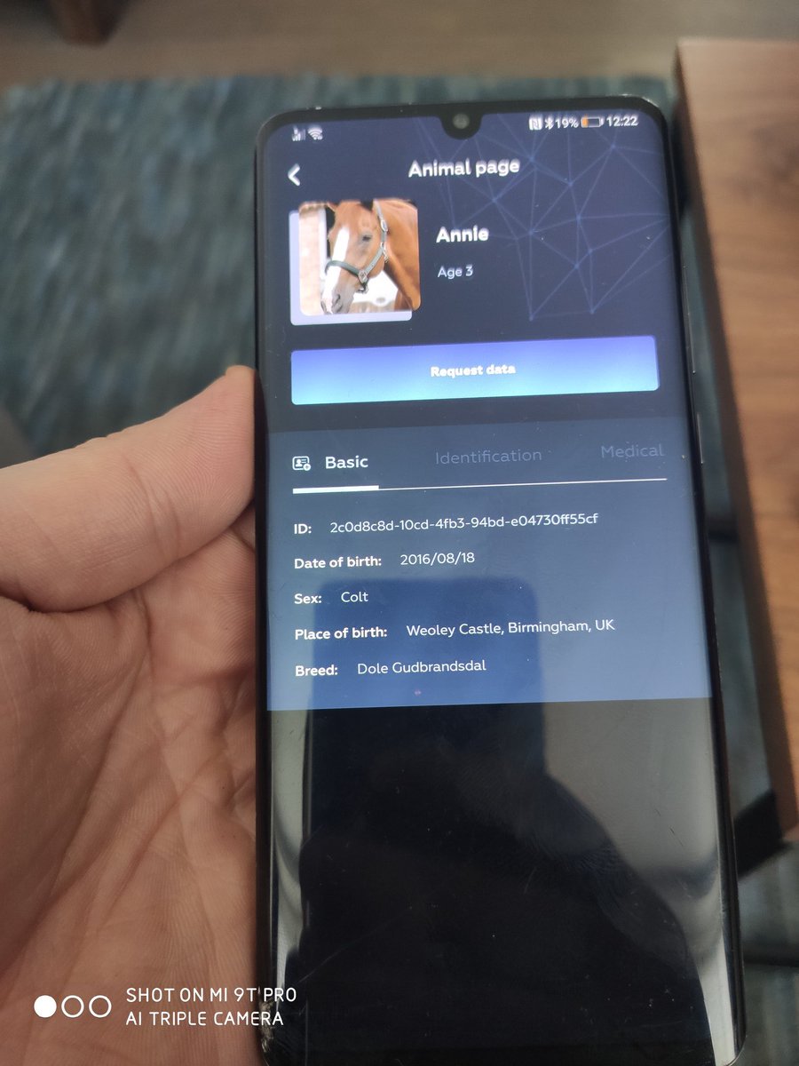 Cryptomaze 🇨🇭 tweet media