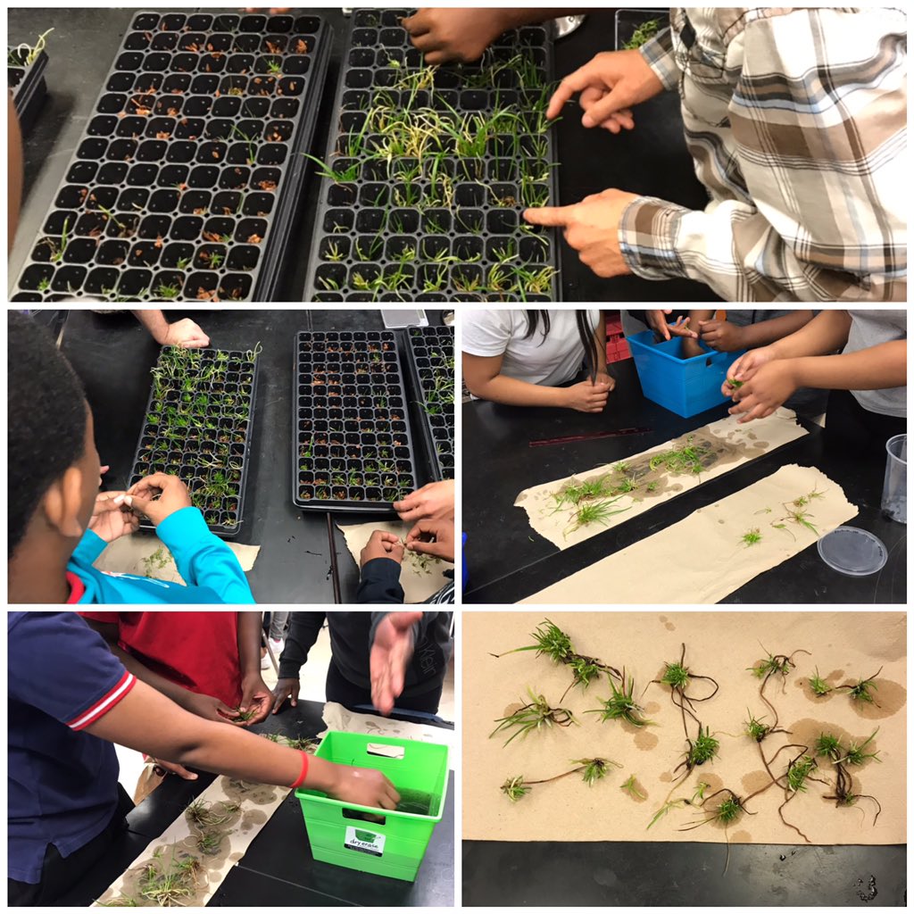 Andrea Kennedy tweet media