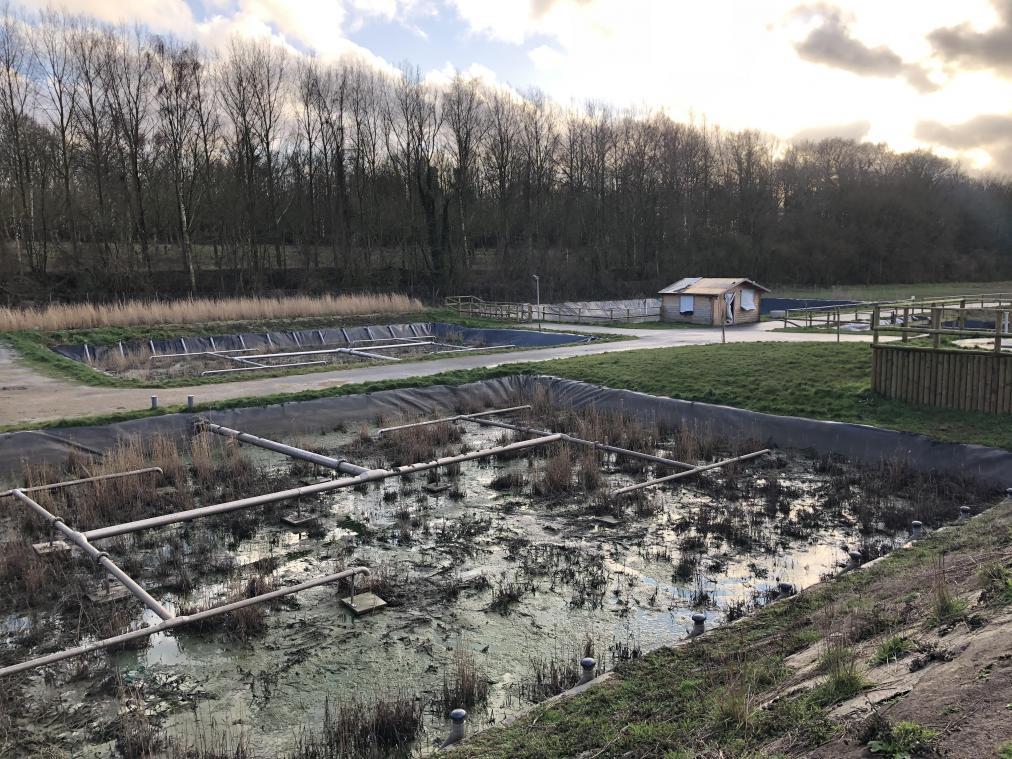 CourrierPicard's tweet photo. La station d’épuration de #Bertangles sera enfin reconstruite après l’#orage du siècle
#Amiens #EauPluviale #ÉpurationDesEaux #meteo #tempête #Somme
https://t.co/ugXJJT6rNH https://t.co/sgVoRBUt8i