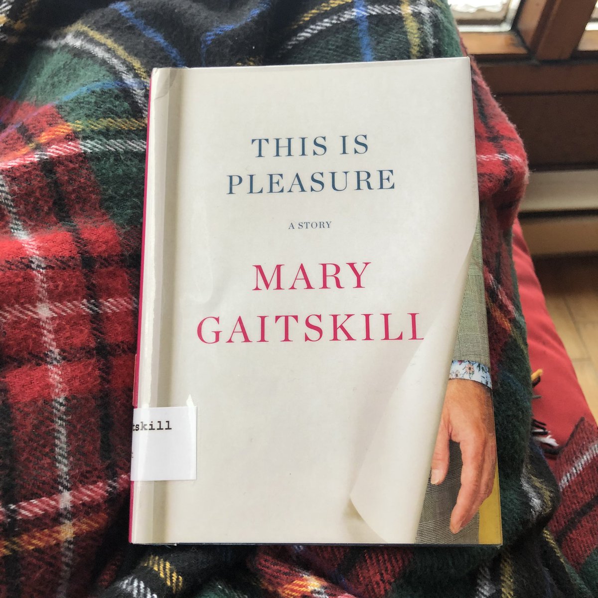 20/52This is Pleasure by Mary Gaitskill.  #52booksin52weeks  #2020books  #booksof2020