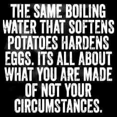 Travis (@travis_b249) on Twitter photo 