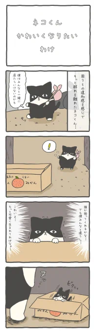 【可愛くなりたい訳】
#ルーミーズパーティー #ネコ #ネコの過去  #4コマ #4コマ漫画 