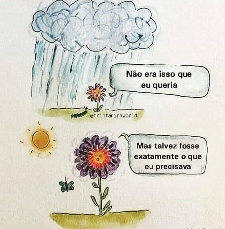 Samara Ramos tweet media