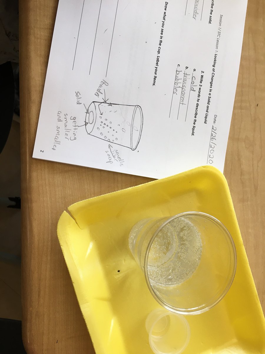 Investigating changes in states of matter. Students added a solid (mystery tablet) to a liquid and watched it change states of matter.