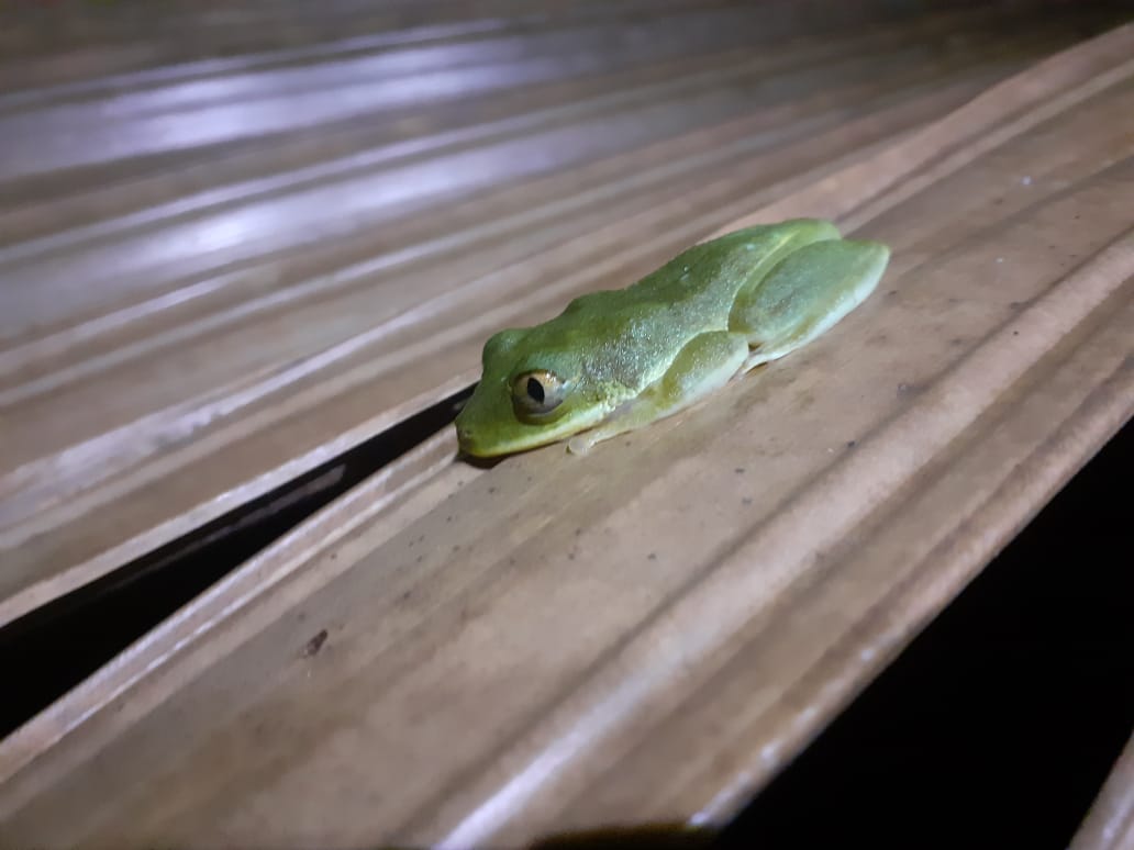 Aurelie Hector tweet media