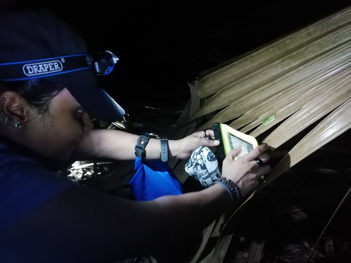 Aurelie Hector tweet media