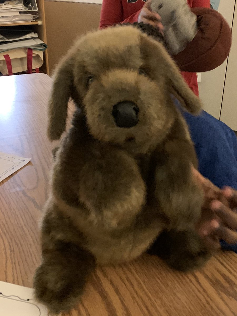 sarahaltman10's tweet image. Some #belly breathing with the puppy and a glitter jar while watching @2ndStepProgram videos through my dashboard! #greatresource @OrioleTweets