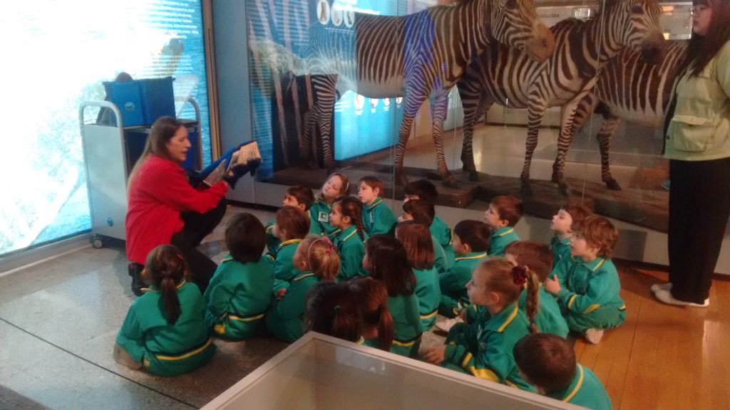 Colegio Mirabal Infantil tweet media