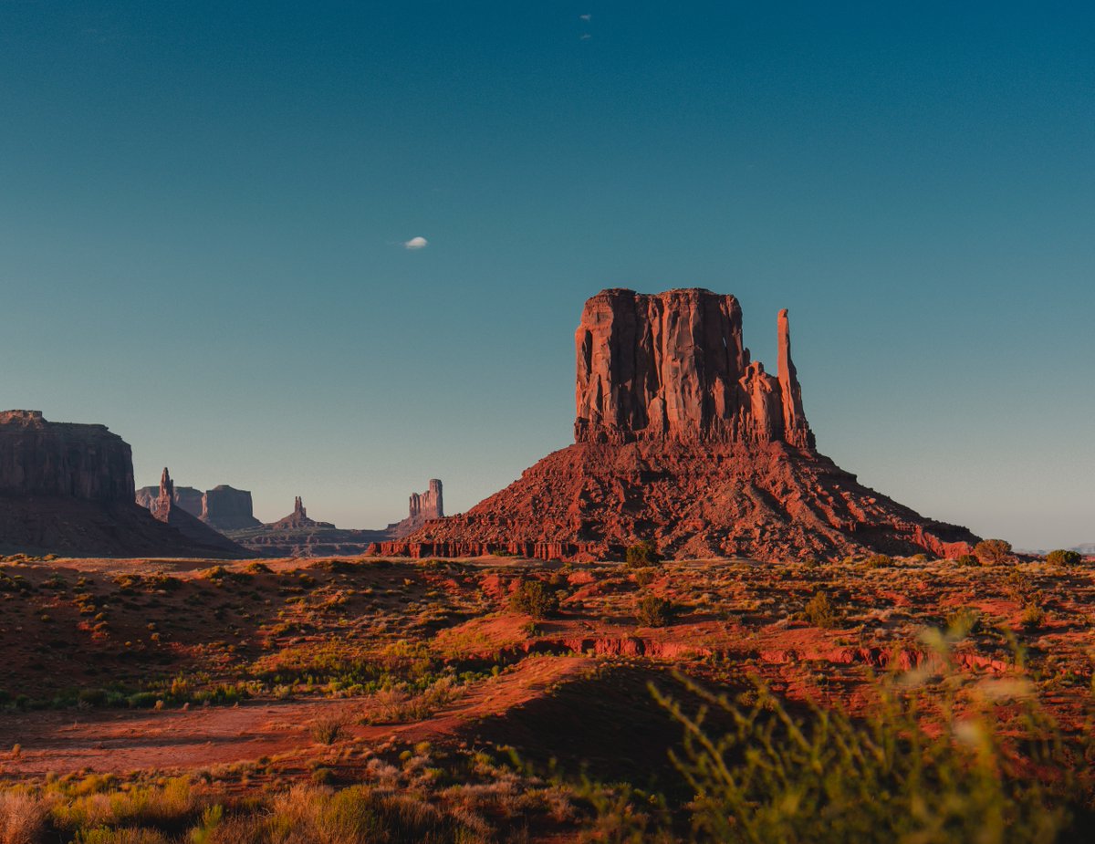 APIC's tweet photo. Early bird registration ends April 24! Register NOW for 3 powerful days at #APIC20020 in Phoenix, Arizona. If you only attend one learning experience in 2020, make sure it’s #APIC2020! Register here: https://t.co/bQLWuzSB9a https://t.co/nYfxBGgpOr