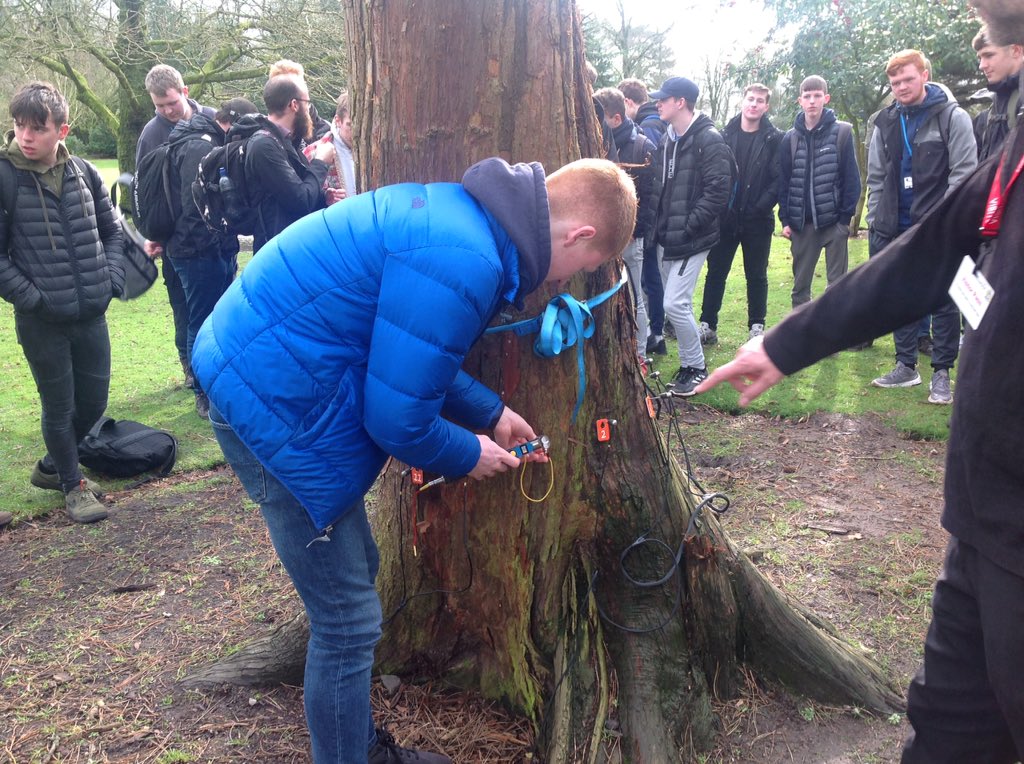 RHC_ForestryArb's tweet photo. Another great talk by Sorbus on tree decay detection for the Forest &amp; Arb students @SorbusIntlLtd #treedecay @ArbAssociation https://t.co/jdasRANuxc