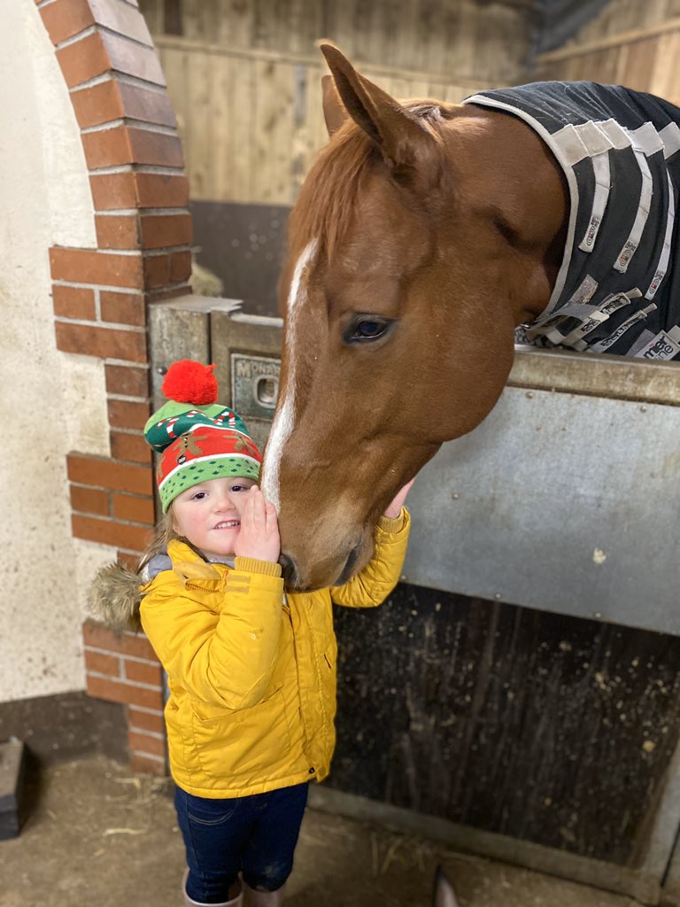 teamlangman's tweet photo. @clairepoole02 @EquineTraining @ShadwellStud That’s so lovely to hear, such a gentle giant, he clearly had the best start in life thanks to you all! He’ll never leave here, home for life! https://t.co/QBRLE3ejOq