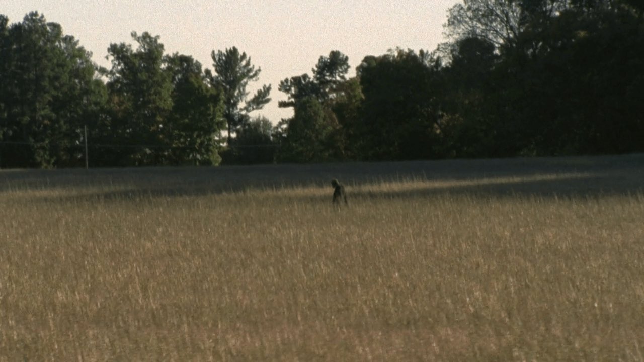 The Walking Dead World on Twitter "The lone walker that Shane sees at