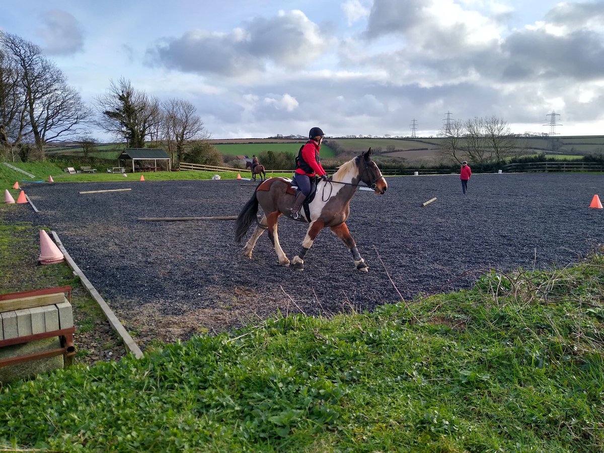 FarmerJamesHT's tweet photo. Prince and Farmer Tracy went off this afternoon and it didn't rain - in fact the βοΈ shone!! #horses Meanwhile I dunged out a #cowbarn #farming! https://t.co/7zhpXeVKfn