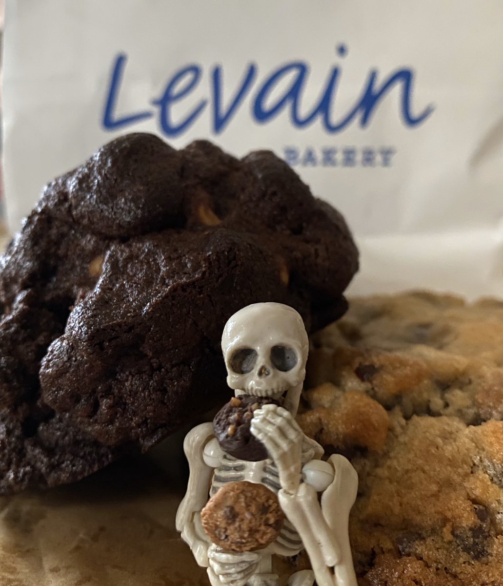 SkellyNyc's tweet photo. @levainbakery in NoHo opened today!! #poseskeleton #cookies #miniature https://t.co/3XDxZgP7tg