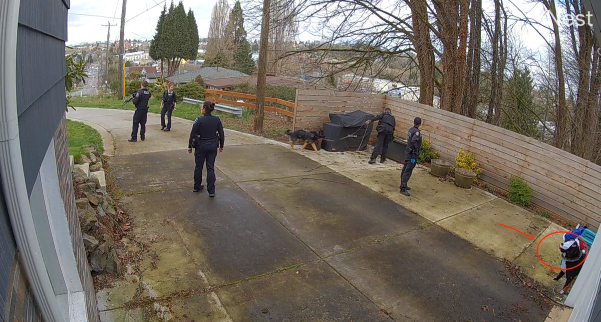 Stephanie 🔮 Web Witch ( 🦋 @seaotta.dev) tweet media