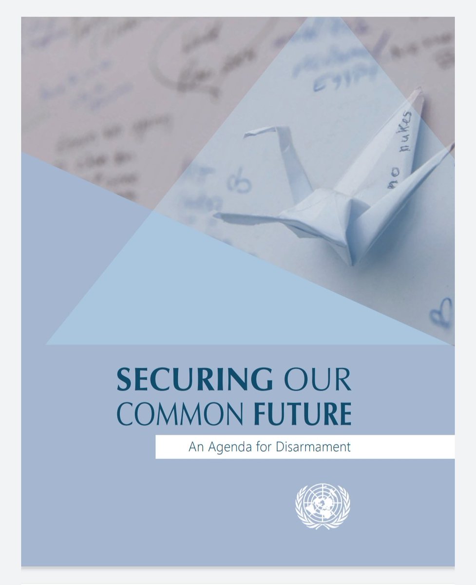 127) In its 2008 report entitled "Securing Our Common Future", the UN layed out how disarmament relates to the SDG's and gender equality. The 16th SDG is the focus of this report.