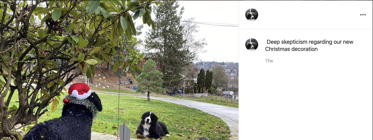 Patrick Kettner tweet media