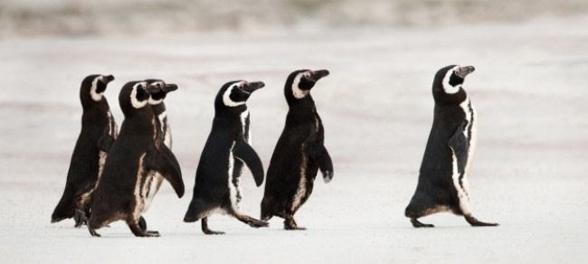 Leaders must focus on creating progressive outcomes for all and not just their immediate traditional shareholders. Read more >>> knowledge.insead.edu/blog/insead-bl…