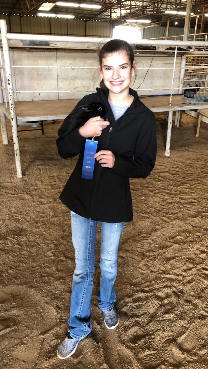snowsworld01's tweet photo. So proud of Emmaโs hard work to get Rosie in shape for the Kaufman County Ag show. 1st in Class! @WMSwarrior #ForneyFFA #TexasFFA #RabbitShow https://t.co/vNfmbuHQoA