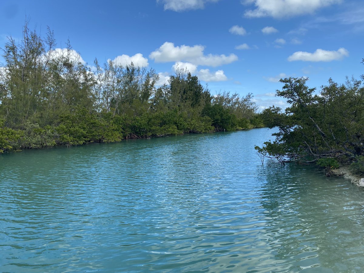 RxSQLKat's tweet image. Had a great time visiting the parents and soaking up some sun for a few days. Now it’s time to head home.