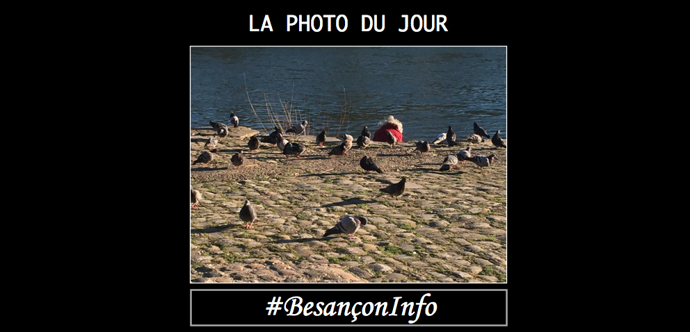 BesanconInfo's tweet photo. #Besanconinfo #Besançon « La dame et les pigeons » Non, il ne s’agit pas d’une fable de La Fontaine mais d’un instant capturé au bord du #Doubs au coeur de notre ville lundi #photo #animal #oiseau #pigeon https://t.co/Zye4x4zluW