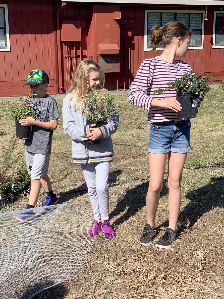 Petk12schools's tweet photo. 4th-6th graders at @McNearElement are working on bird habitat project today! Students have been working with ornithologists &amp; habitat specialists to learn about native birds. Today they are finding places for native plants and will begin planting! #Petk12 https://t.co/78bNMMqO0X