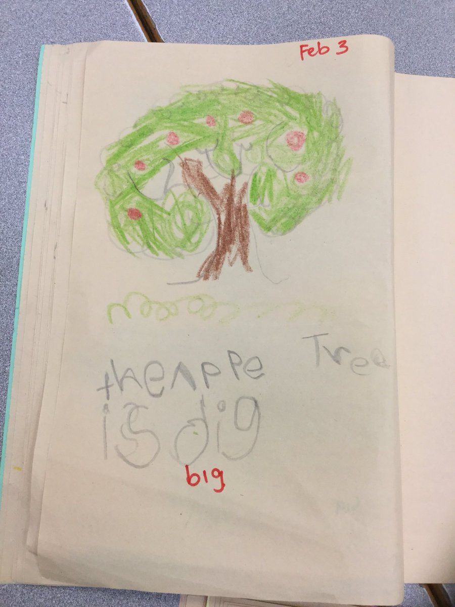 JenniferCadogan's tweet photo. Guided drawing of an Apple tree🍎 https://t.co/Hltq9JJWQs