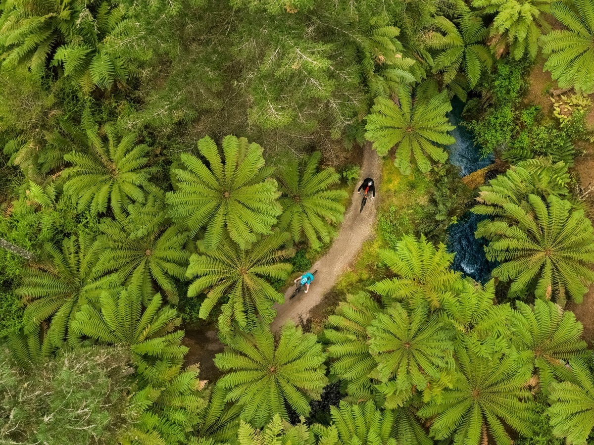 WebTaniwha's tweet photo. Job of the day: Our friends @RotoruaNZ are on the hunt for a new Marketing Manager. Fancy a role which creates innovative campaigns which inspire visitors, investors, businesses, students and talent to #RotoruaNZ? Applications close 20 March #jopposting https://t.co/jfJnPfn0r5 https://t.co/W1ps9gxe9x