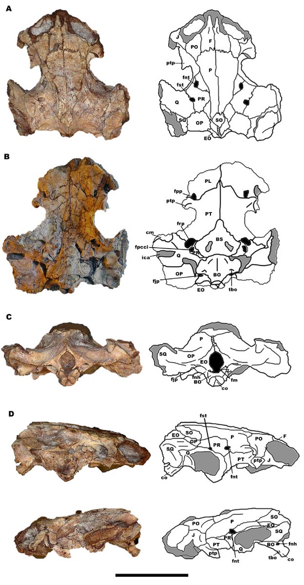 Ver imagen en Twitter