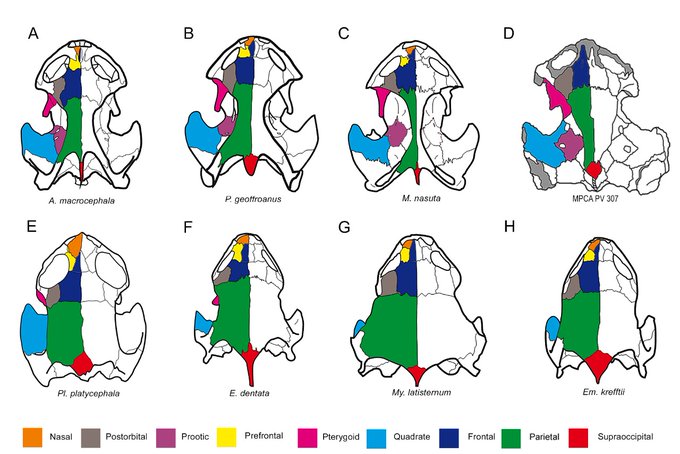 Ver imagen en Twitter
