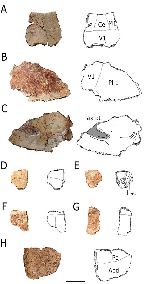 Ver imagen en Twitter