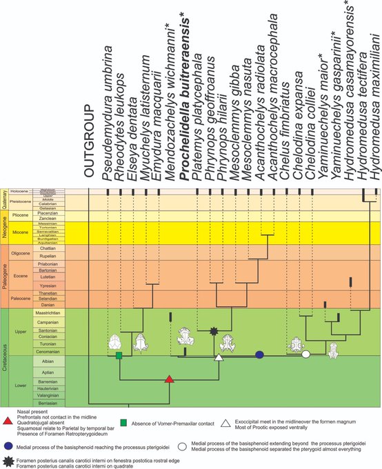 Ver imagen en Twitter