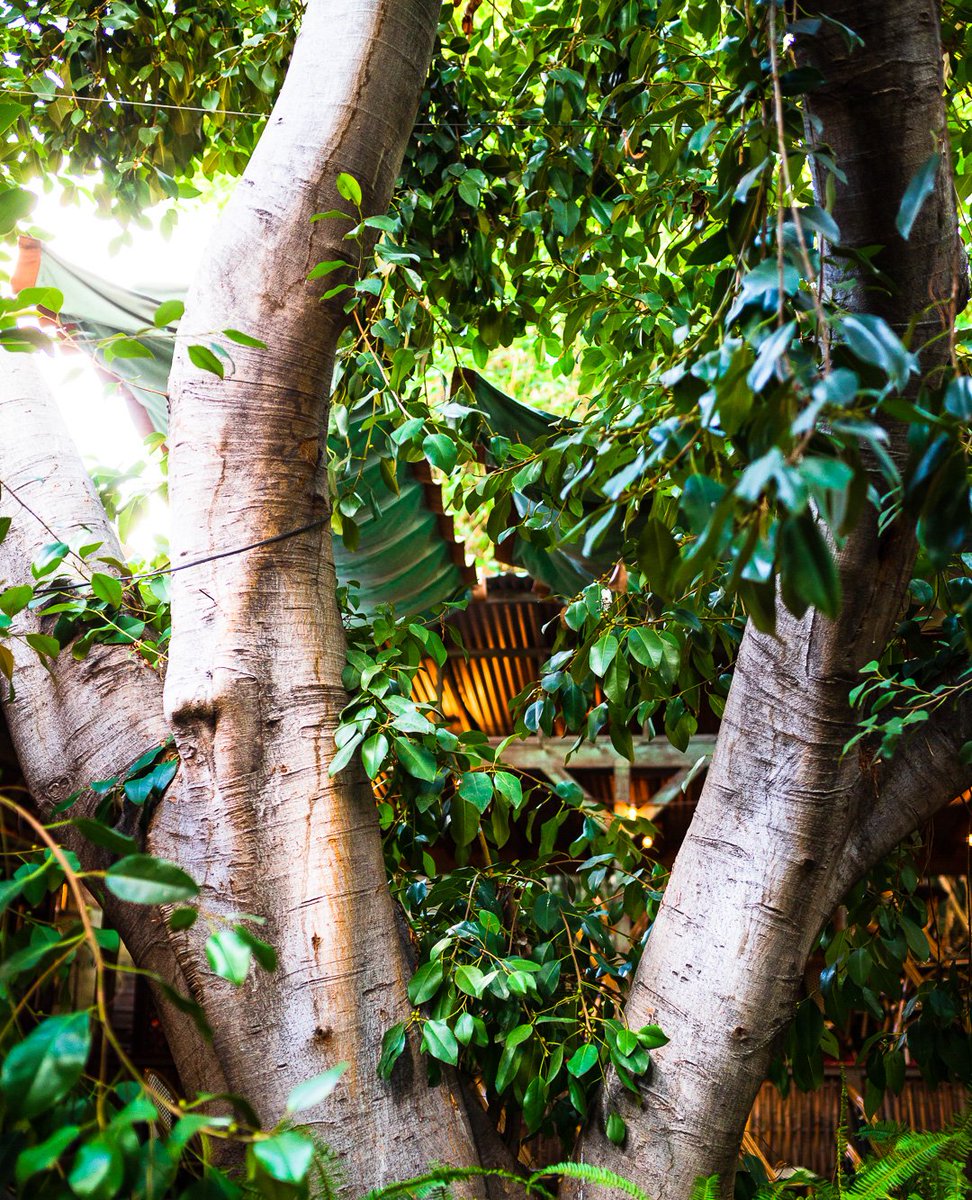 Cliff's Edge tweet media