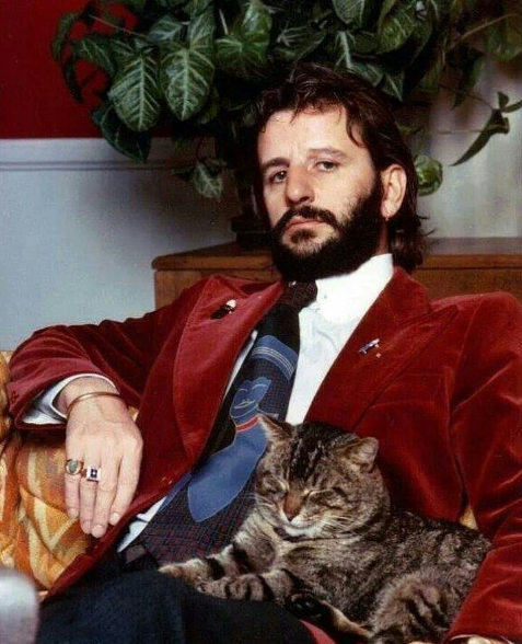 RoadTabby's tweet photo. Ringo and his cat lookin' all badass! 

#TheBeatles #Cats #ringostarr #Beatles #BeatlesCats https://t.co/NKyYxZSkJI