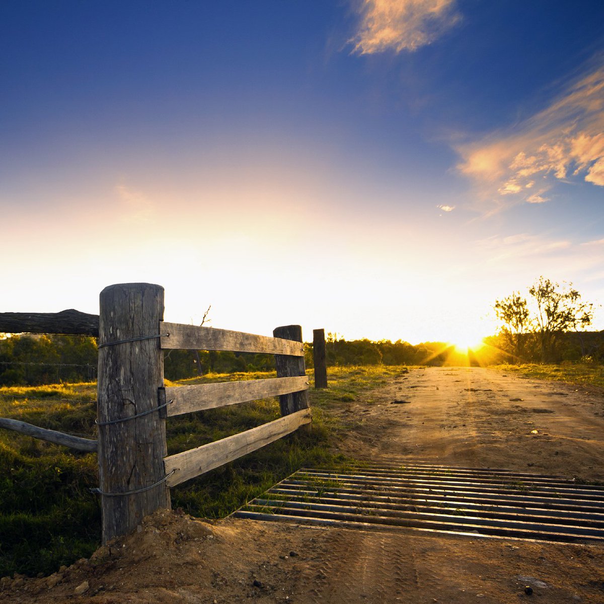 CropLifeOZ's tweet image. CropLife Australia develops and publishes a range of world leading stewardship initiatives that ensure sustainable agricultural outcomes. bit.ly/2lfEIxJ #StewardshipFirst #cropprotection