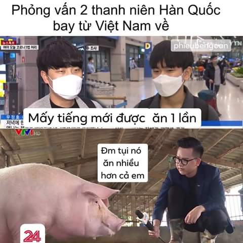 GugHong's tweet photo. Mọi người ơi chúng ta hãy cùng nhau dislike thật nhiều nha!
Để cho cái bọn không có não nó thấy thế nào là sức mạnh của ae Đông Lào chúng ta nhé !!
Chúng ta cùng nhau làm cho cái bọn thưởng đẳng đó triệt sản luôn nhé mọi người!!
#Thật
#KoreansApologizetoVietnam https://t.co/7ZsEgItsMT