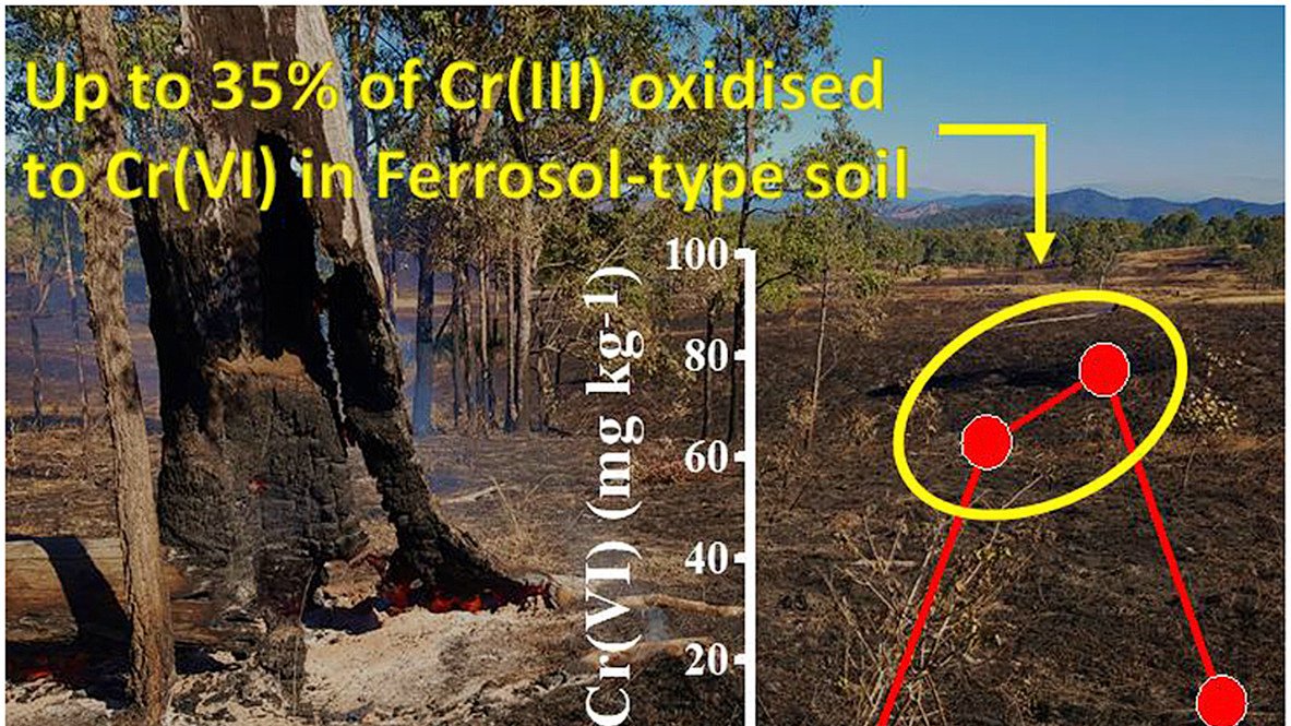 Ed Burton tweet media