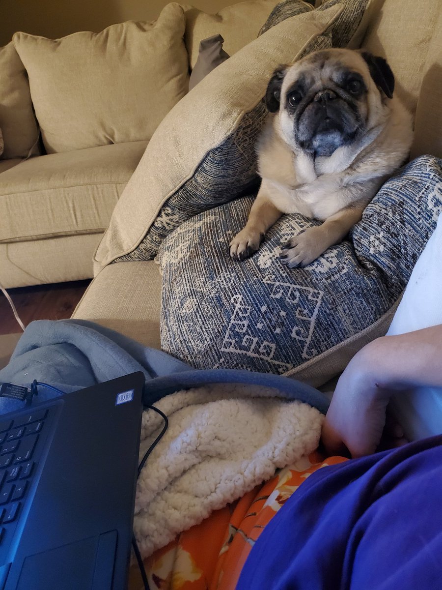 MrsKGilchrist's tweet photo. Mulee is watching how to manage and set up classes in @NUITEQSnowflake https://t.co/58rxoVyrGn