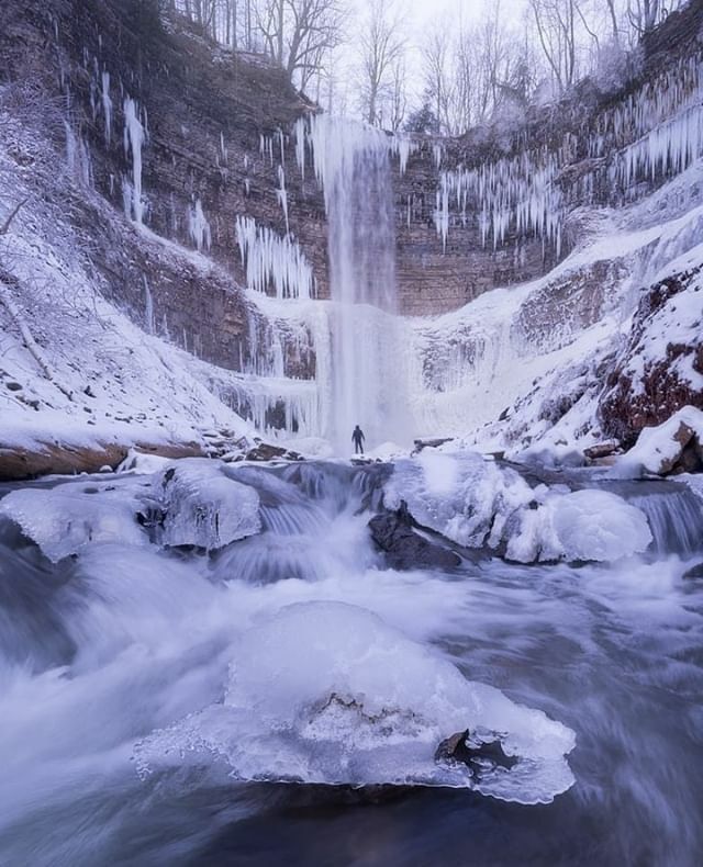 Urbanicity Hamilton tweet media