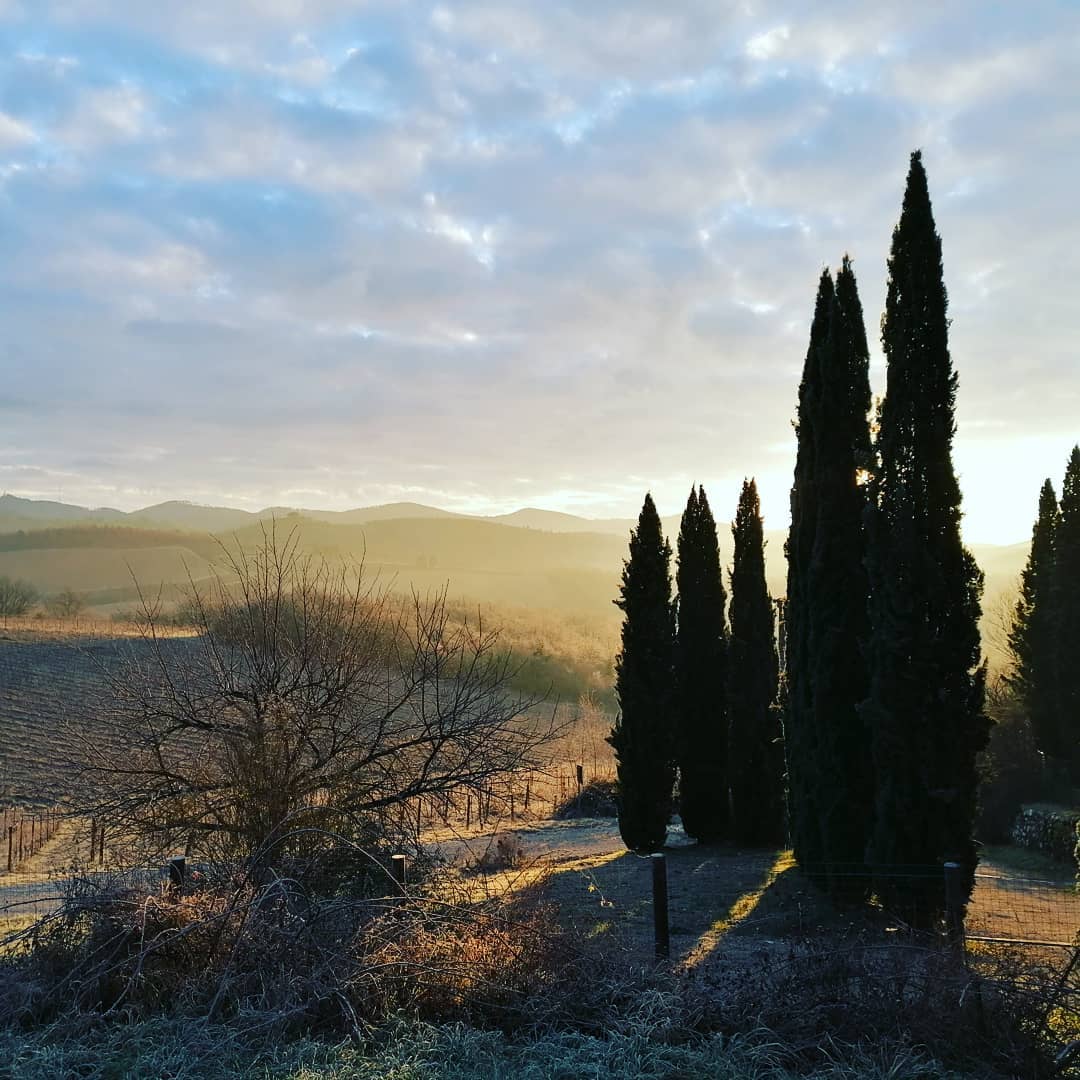 ChiantiClassUSA's tweet photo. What's your favorite season in Tuscany? Many winelovers say fall—maybe because of the harvest—but we think there might be an argument to be made that winter is just as beautiful ❄️ https://t.co/Go3BsGz1LQ