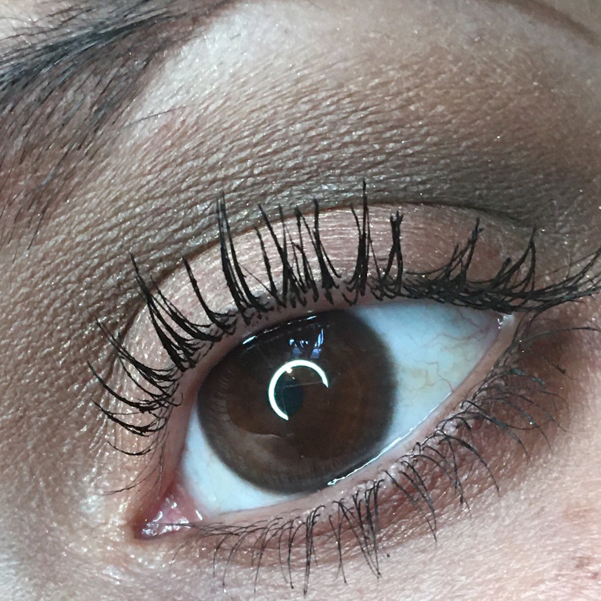Makeupwgrace11_'s tweet photo. Used my @TatiBEAUTY palette and blendiful today!!!! Absolutely amazing experience!!!!@GlamLifeGuru https://t.co/xUkbKBoXUB