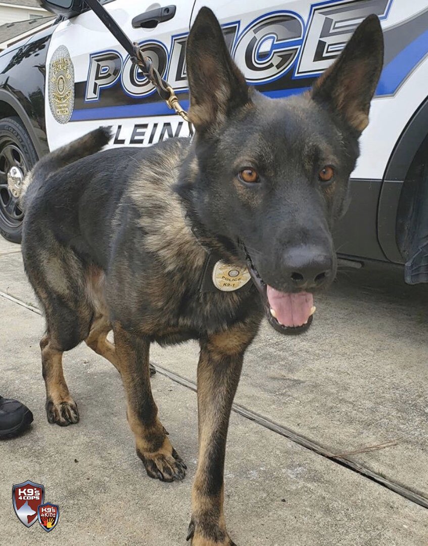 Today is #WorkingDogWednesday and K9 Quinn is enjoying the cold weather!!😊

#K9s4COPs #K9s4KIDs #K9Quinn