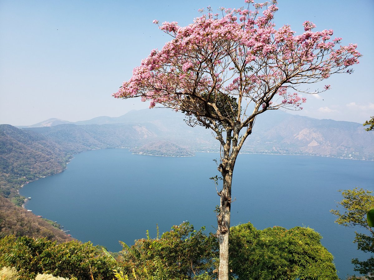 copegoro's tweet photo. Lago de Coatepeque

#IMaquilishuatU

@Pachugirl @Guanaco2English https://t.co/bW5SoTxQt8