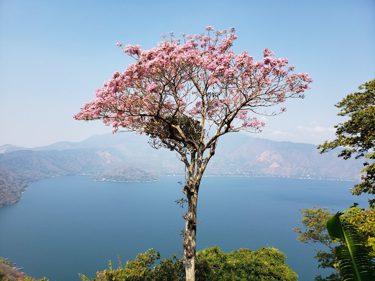 copegoro's tweet photo. Lago de Coatepeque

#IMaquilishuatU

@Pachugirl @Guanaco2English https://t.co/bW5SoTxQt8