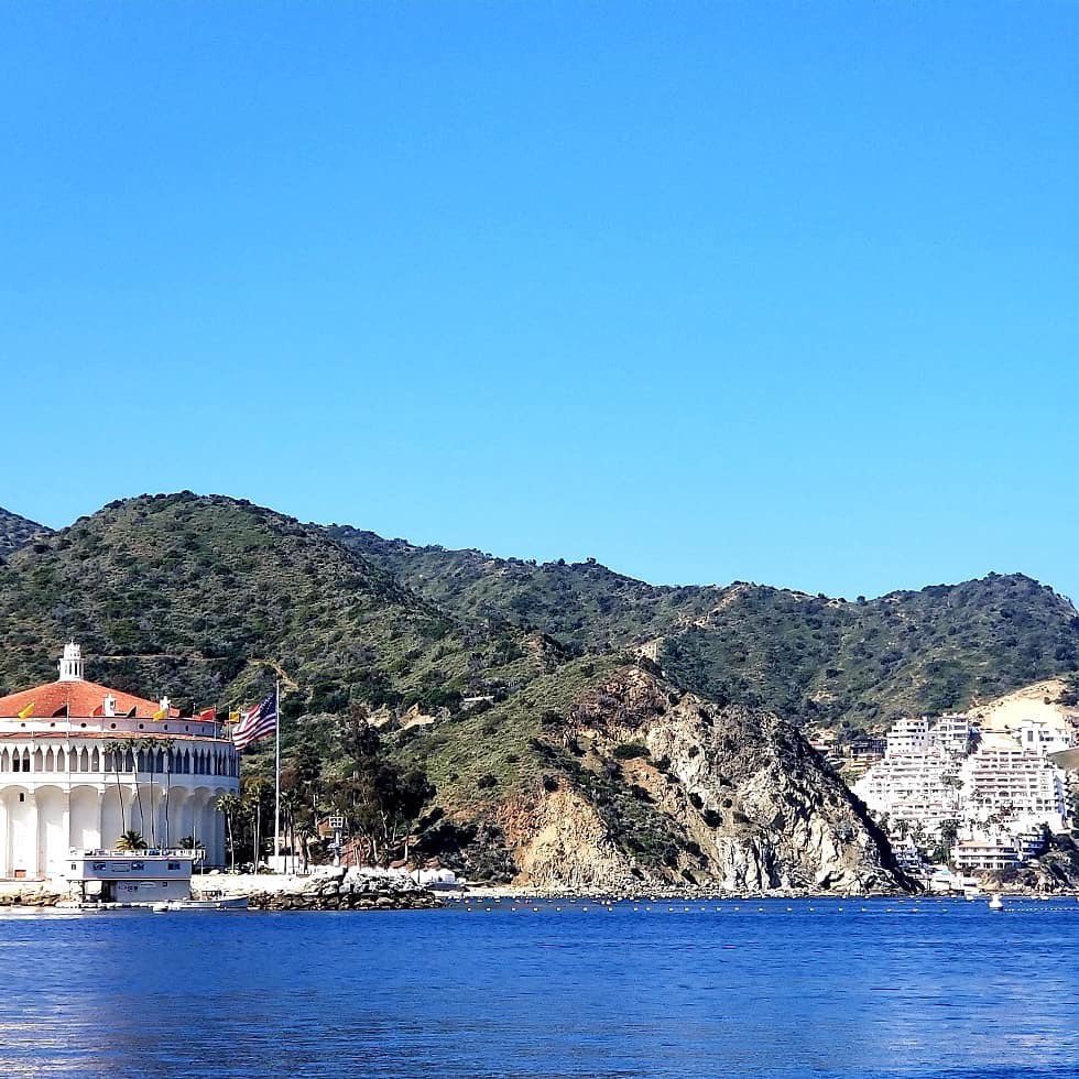Our STB instructors were invited to Catalina Island for @StopTheBleed training with @AvalonFF2295 @LACoLifeguards #Baywatch @AvalonHarbor. @dennisyongkim also gave a case presentation to the crew. Thank you for your hospitality, what a great day! @ZMedica