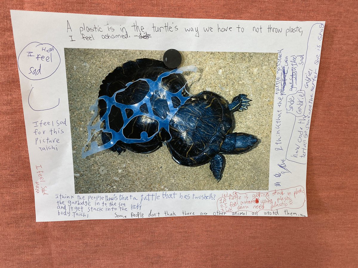 MrsStaceyHarra's tweet photo. Starting our #sharingtheplanet unit with thought-provoking pictures. What do you think is happening in the picture? How do you feel looking at this picture? Why do you think it’s connected to the phrase ‘sharing the planet’? #stp #learningarKIS #newunit https://t.co/VlnAbD6ZYY