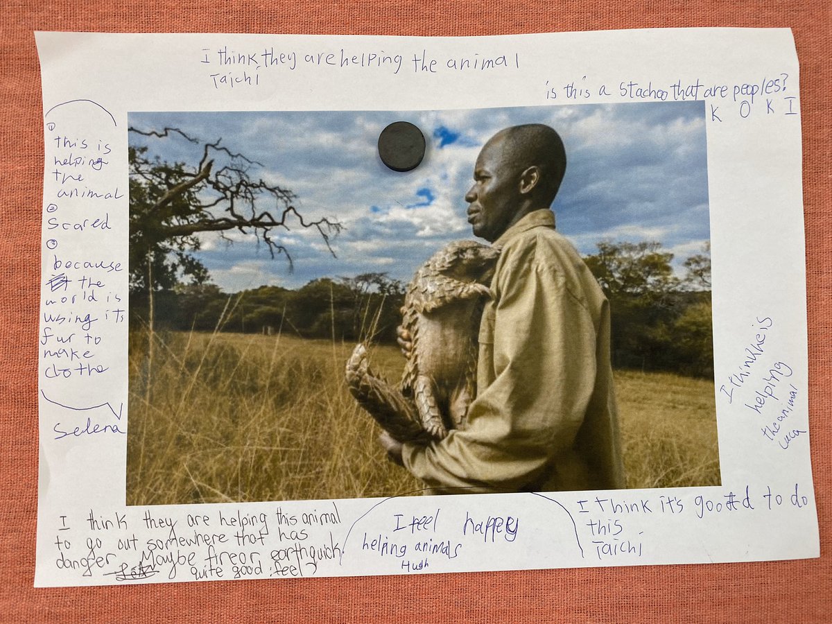 MrsStaceyHarra's tweet photo. Starting our #sharingtheplanet unit with thought-provoking pictures. What do you think is happening in the picture? How do you feel looking at this picture? Why do you think it’s connected to the phrase ‘sharing the planet’? #stp #learningarKIS #newunit https://t.co/VlnAbD6ZYY