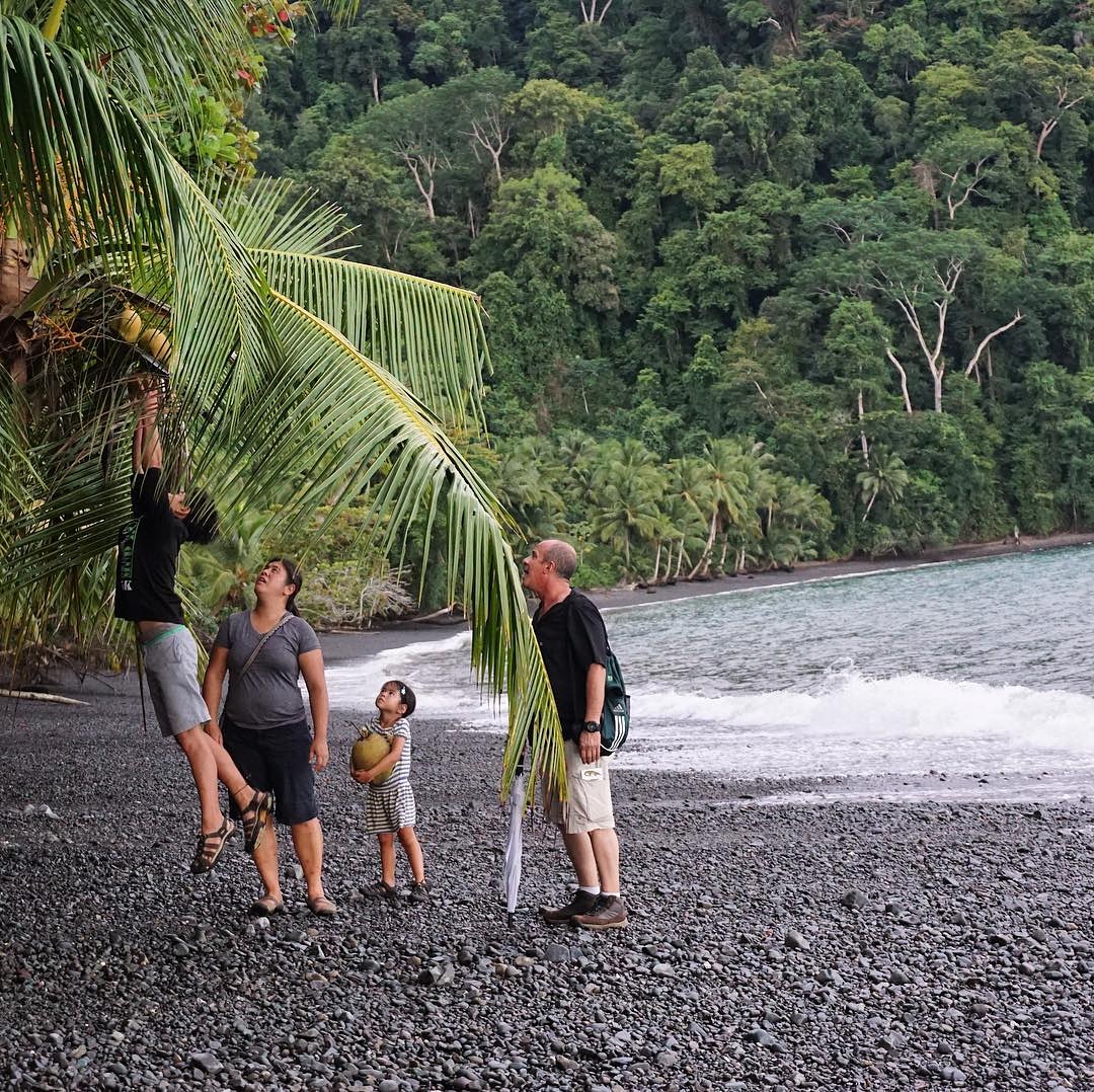 Enjoy with your friends and family surrounded by a beautiful landscape next to the sea ❤️❤️😍
.
.
.
#costarica #puravida #wildlife #adventure #paradise #exotic #beauty #awesome #nature