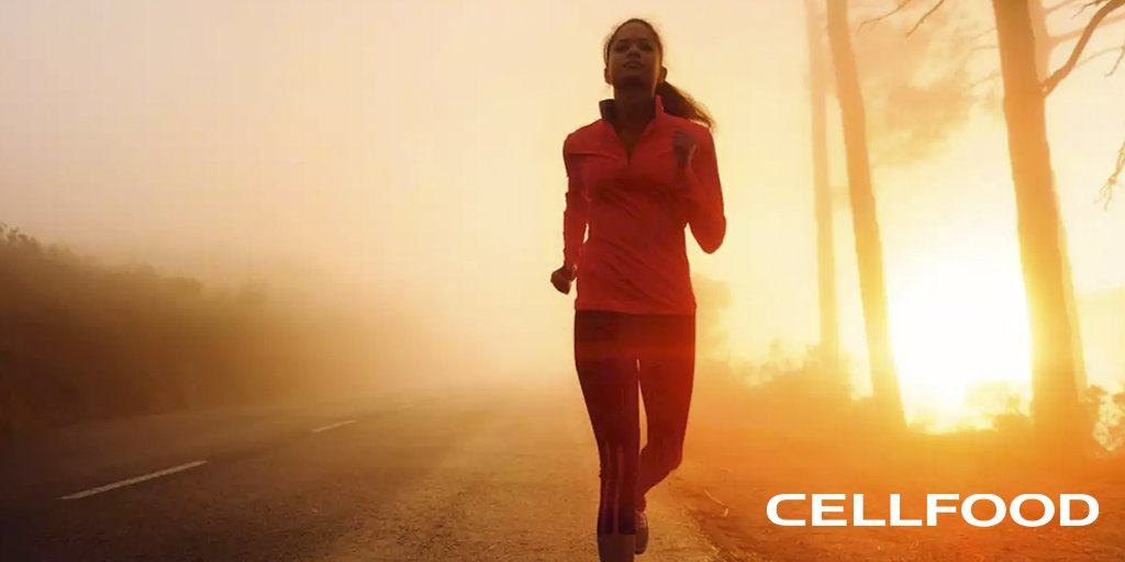 CellfoodMex's tweet photo. ¡Cellfood te ayuda a lograr un mejor desempeño atlético!
https://t.co/UTMXpj3UVa

#Cellfood #salud #suplementos #nutricion #saludable #mexico https://t.co/w3y3ohwkN1